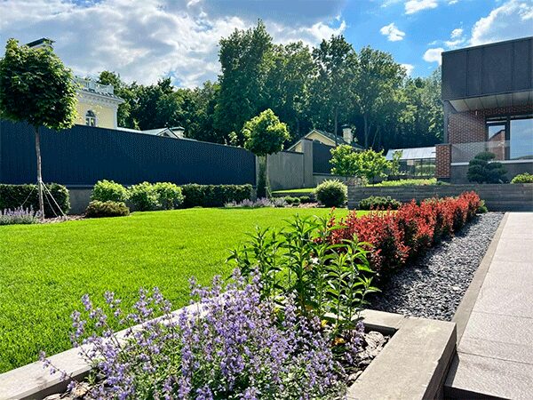 Экспресс-озеленение