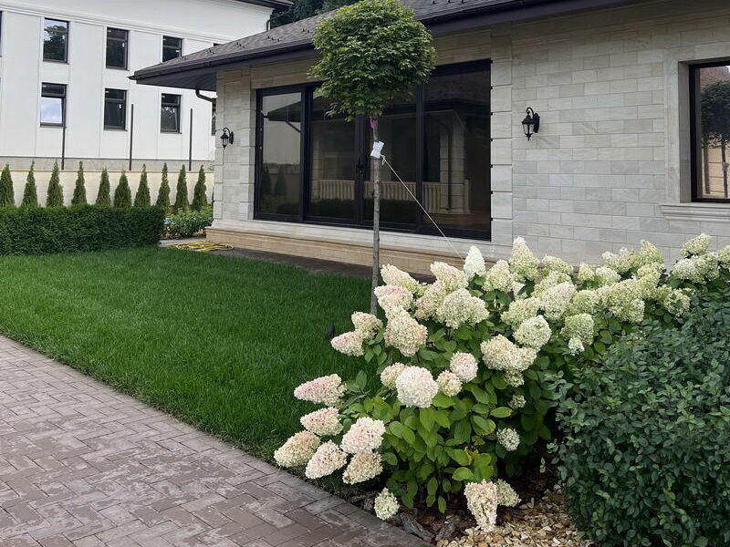 Проект сада